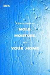 A Brief Guide to Mold, Moisture, and Your Home