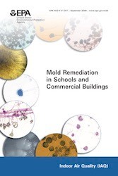 Mold Remediation in Schools and Commercial Buildings