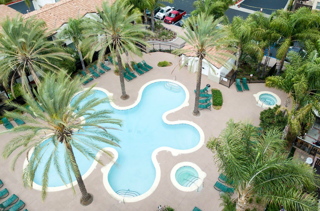 Marie Clark Allison James Estates & Homes