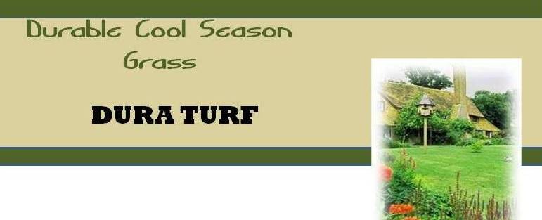 duraturf dura turf