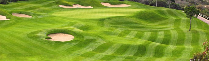 Golf-Courses-Grass-Seed